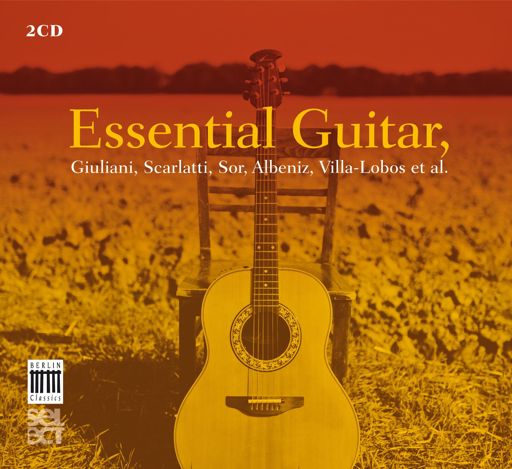 Premium Acoustic Guitar for Beginners & Professionals - Best Guitar for Learning, Practice & Performance - Perfect for Home, Studio & Live Concerts