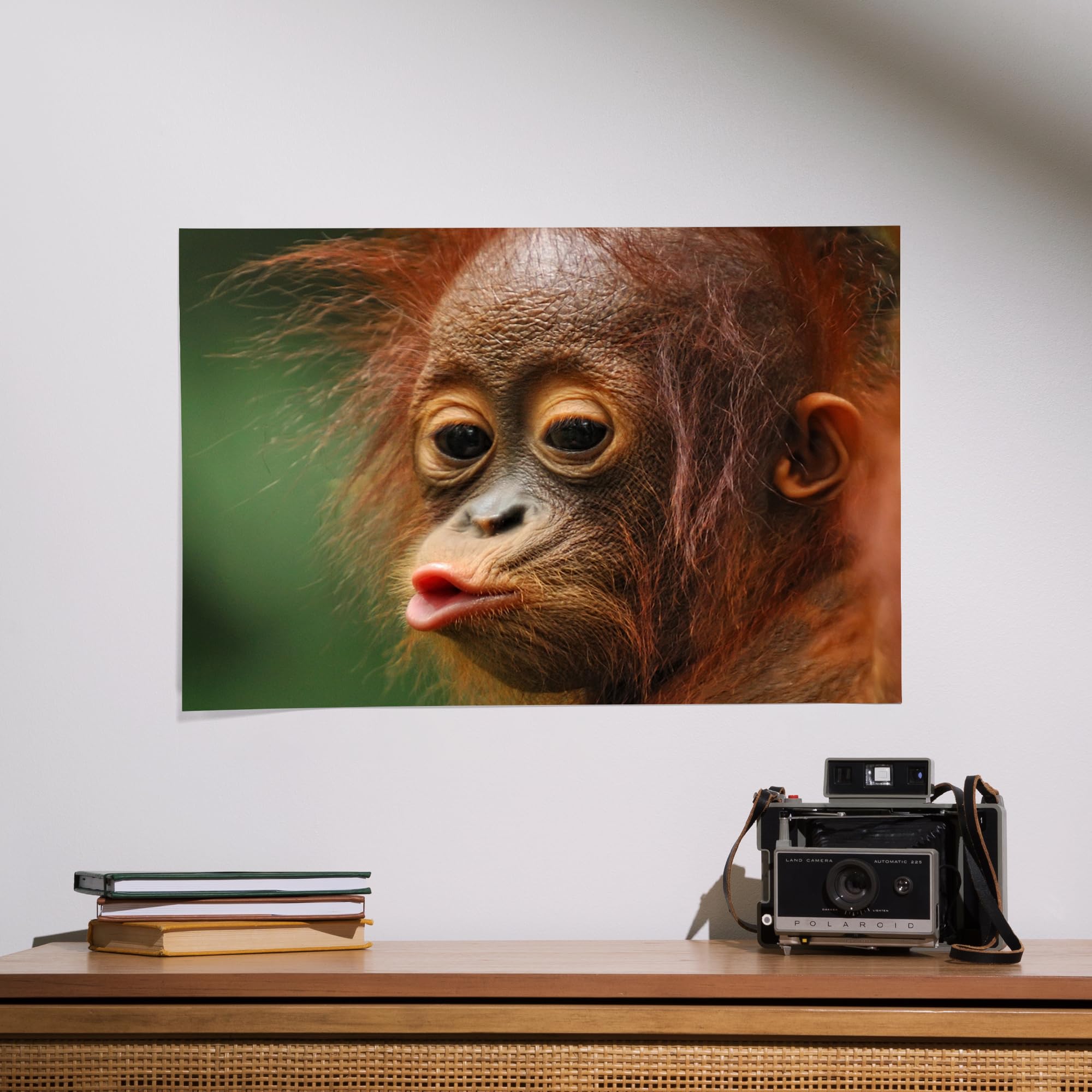 Lantern Press 16x24 Inch Giclee Art Print - Baby Orangutan Kissing Wall Decor for Living Room, Nursery & Office | High Quality Canvas Painting for Home Decor