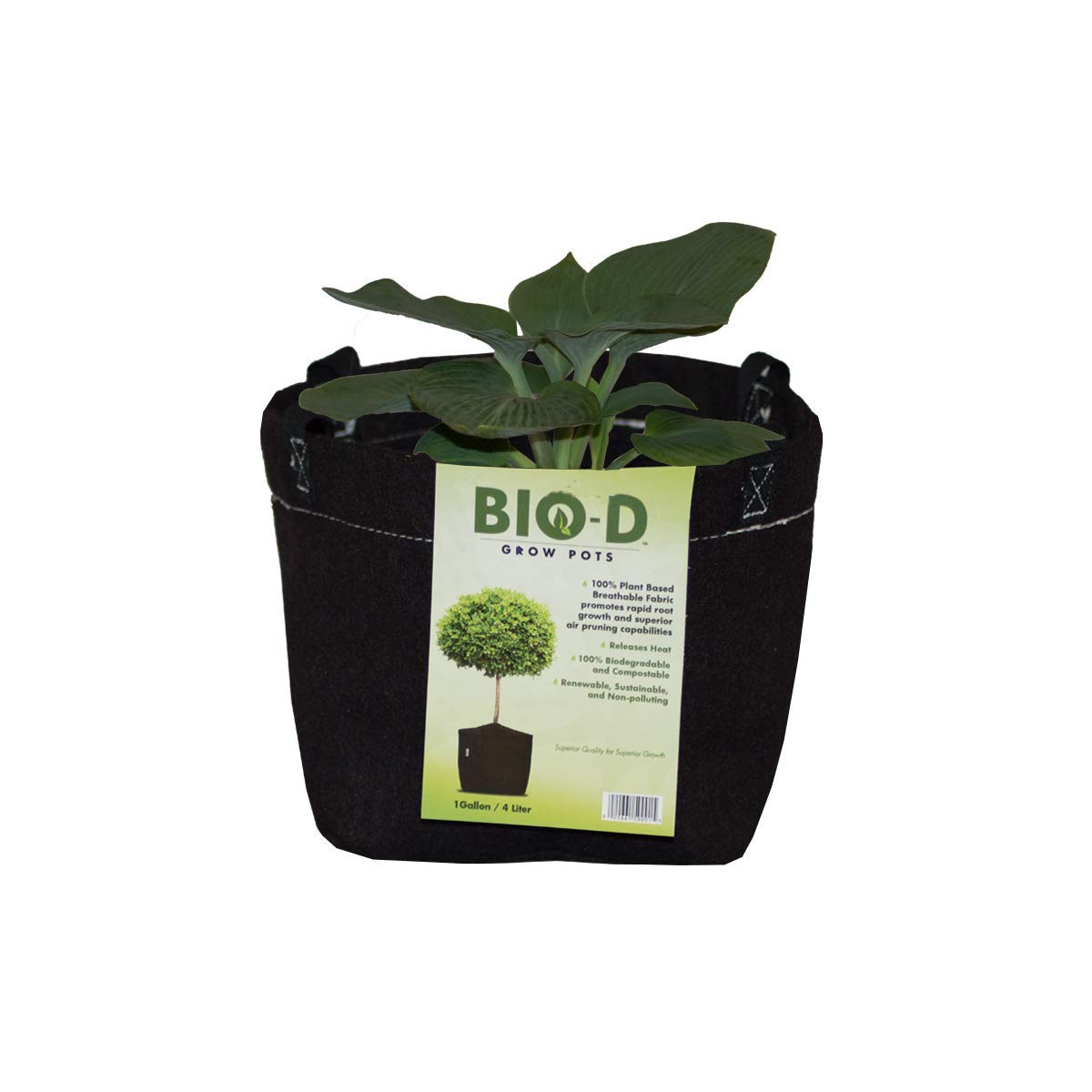 Bio-D Grow Pots 1 Gallon 3-Pack - Biodegradable Fabric Plant Grow Bags for Vegetables, Herbs & Flowers | Heavy Duty Eco-Friendly Garden Containers | Ideal for Indoor/Outdoor Gardening & Seed Starting