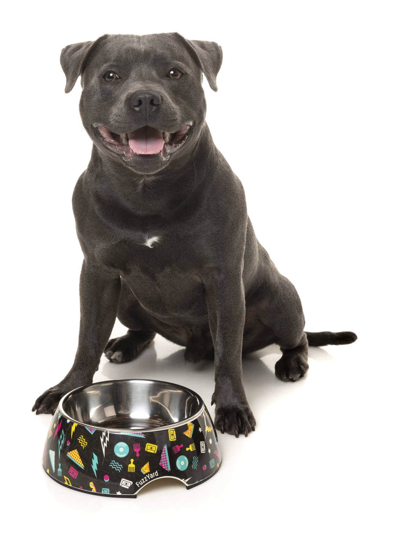 FuzzYard Easy Feeder Pet Bowl for Dogs & Cats - Non-Slip Slow Feeder Dog Bowl with 3 Sizes (Small, Medium, Large) - Perfect for Mealtime, Training, and Portion Control at Home or Travel