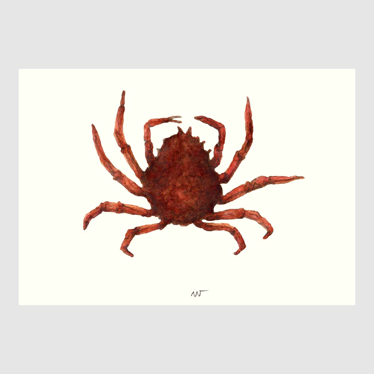 Premium Spider Crab Design Placemats Set of 4 - Waterproof & Heat-Resistant Table Mats for Dining, Kitchen, and Party Decor - Unique Seafood Theme Home Accessories