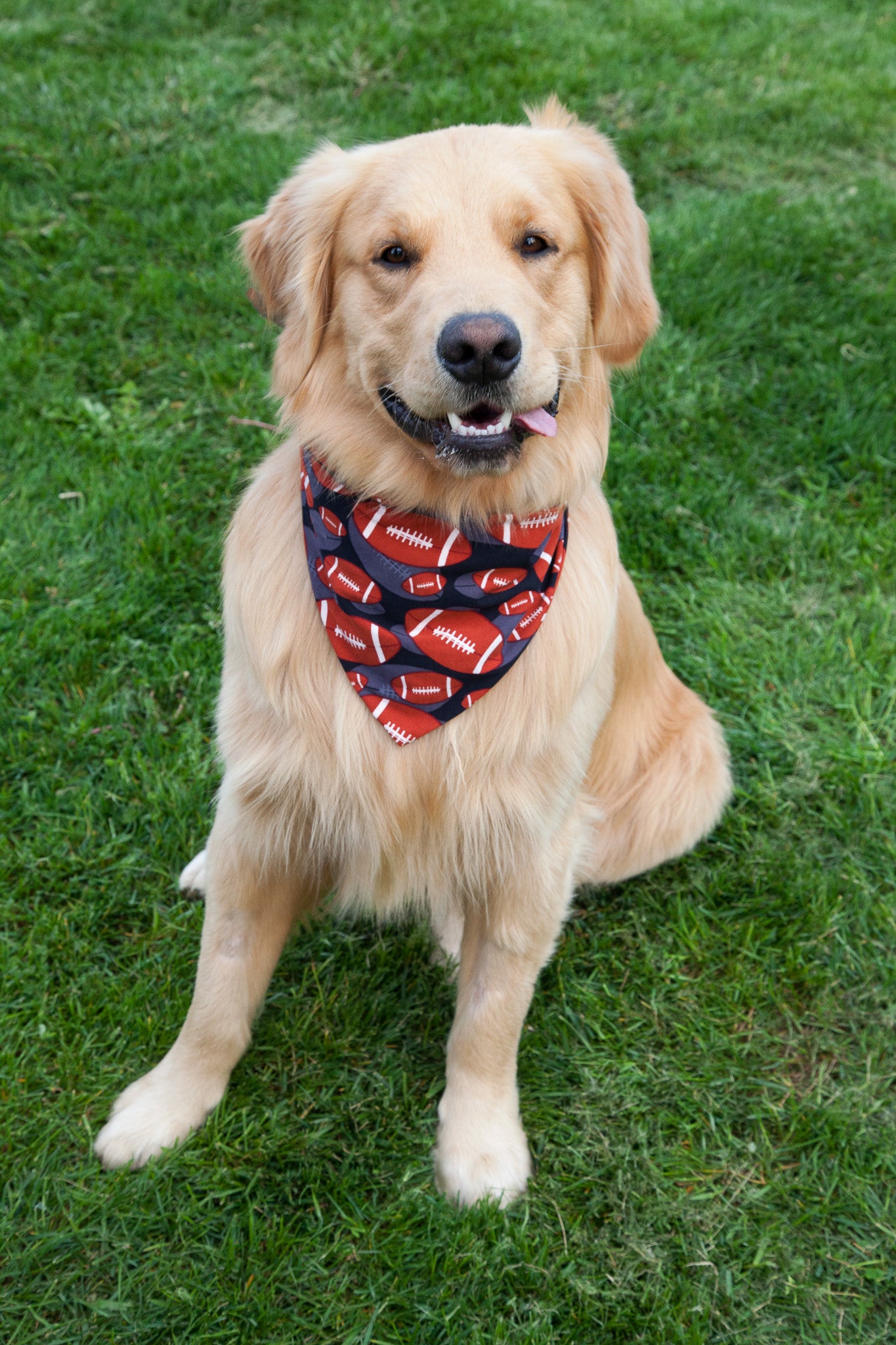 Touchdown! Pet Bandana - Football Themed Dog Bandana for Game Day & Sports Events - Perfect for NFL Fans & Pet Lovers
