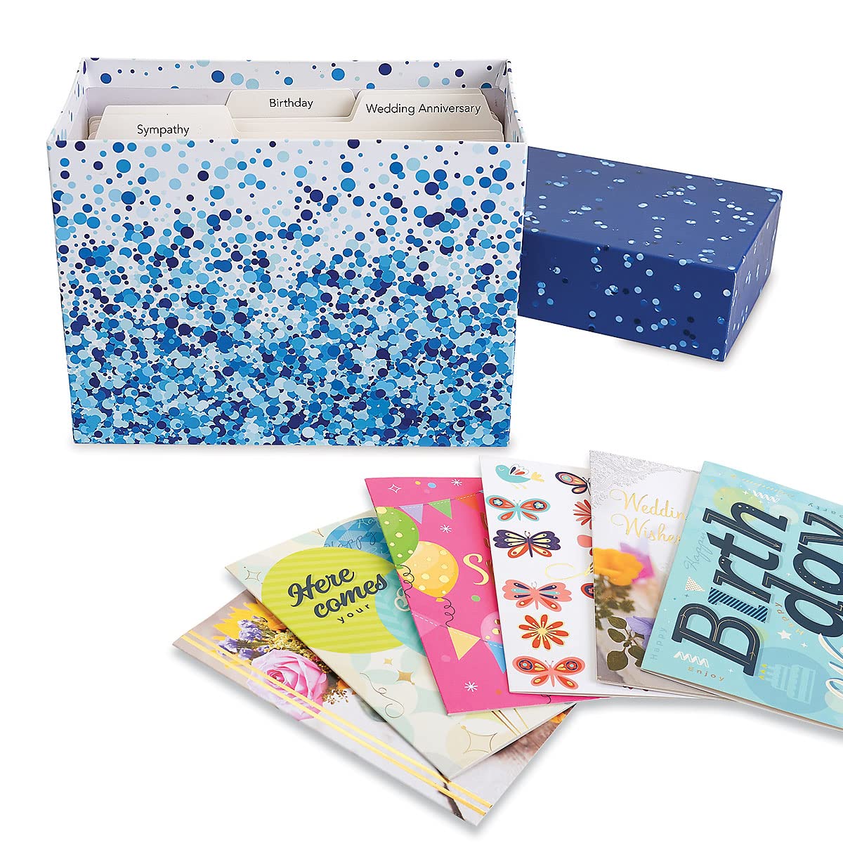 Blue Greeting Card Organizer Box with 48 All-Occasion Cards (5