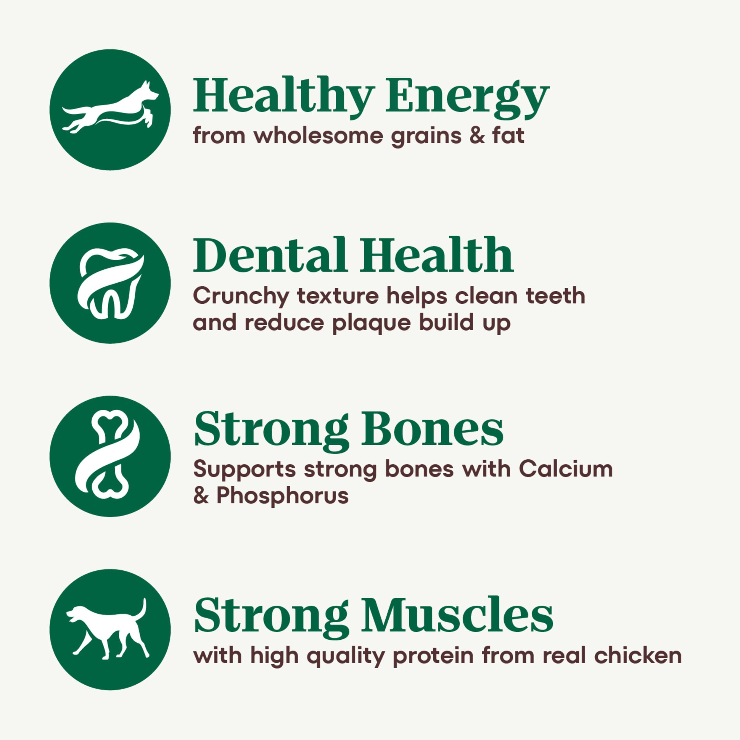 Nutro Natural Choice Adult Small Breed Dry Dog Food - Chicken & Brown Rice Recipe, 13 lb Bag - High Protein Kibble for Small Dogs - Perfect for Indoor Pets & Active Lifestyles