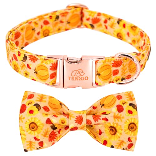 Sunflower Collar
