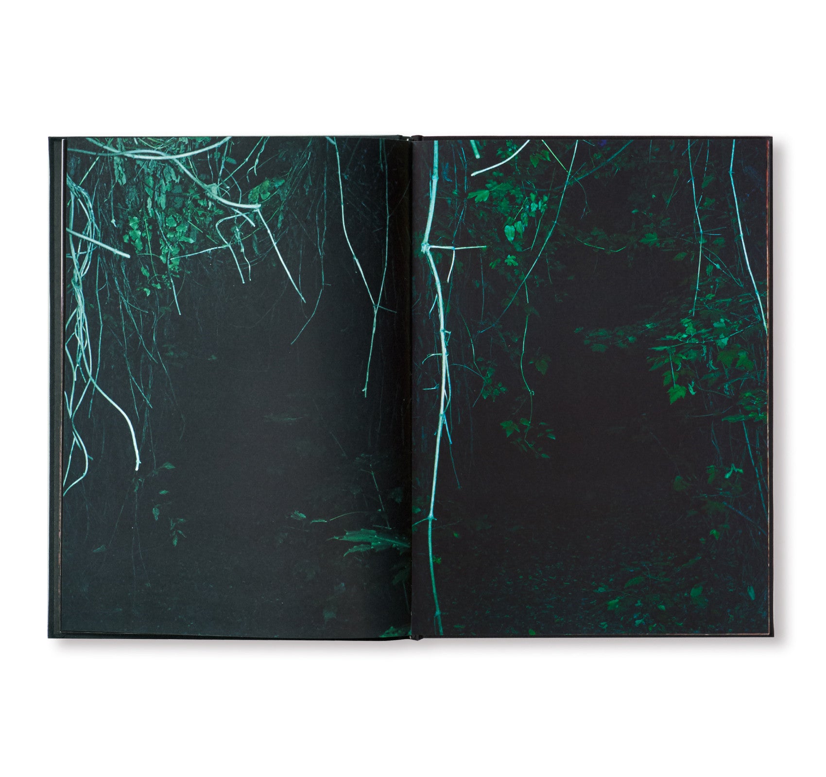 Coley Brown - A Recurring Dream: Second Edition Signed Book | Perfect for Art Lovers & Collectors | Ideal for Home Decor & Gift Giving