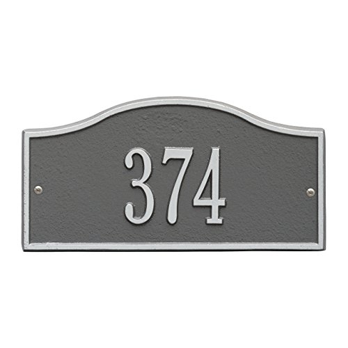 Pewter/Silver