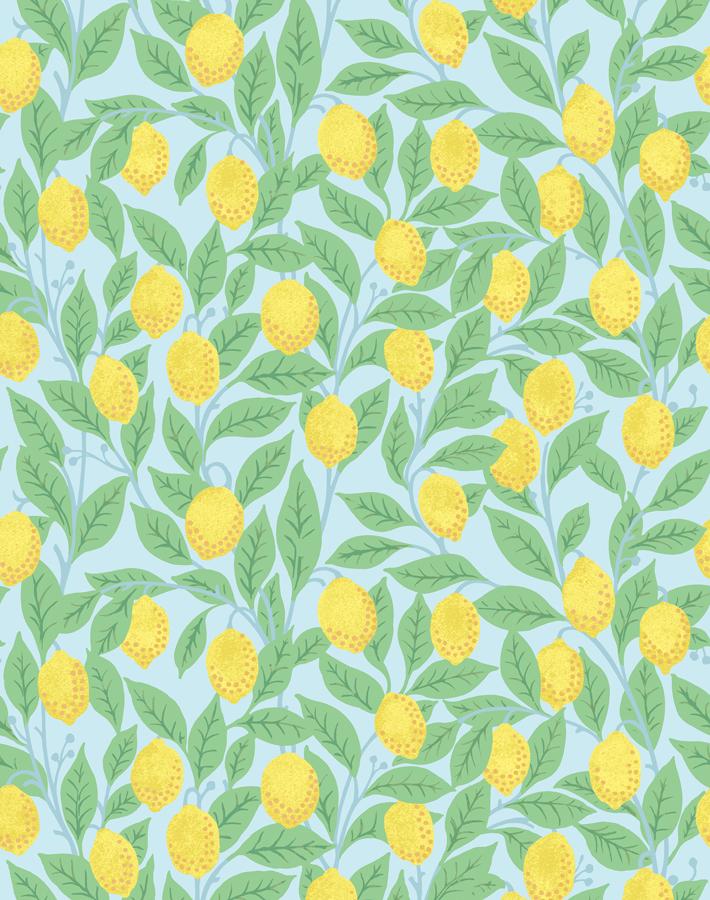 Nathan Turner Sky Lemons Wallpaper - Vintage Citrus Peel Pattern for Kitchen, Bathroom & Dining Room Decor
