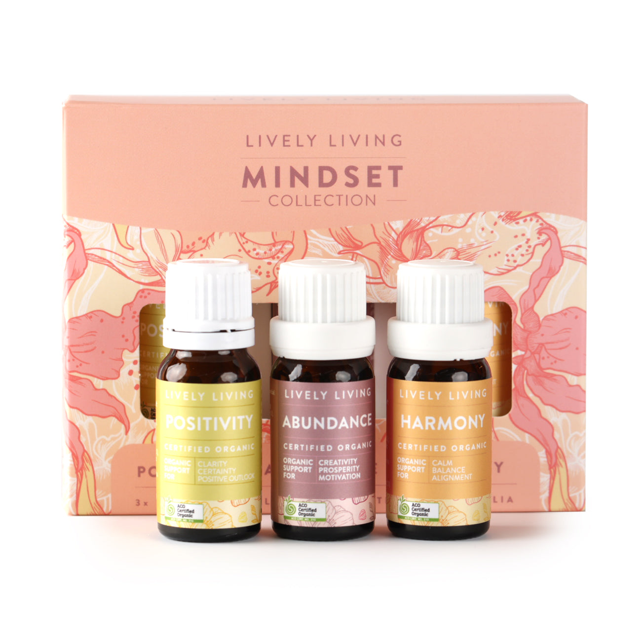 Mindset Collection Trio - Motivational Wall Art Set for Home & Office Decor | Inspirational Quote Posters for Living Room, Bedroom, or Workspace