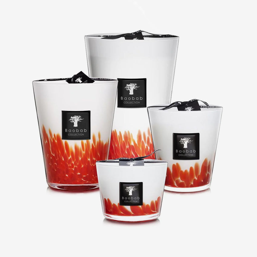Baobab Collection Feathers Maasai Scented Candle - Handmade Luxury Soy Wax Candle with Exotic Fragrance for Home Decor, Relaxation & Gift Giving