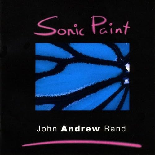 Sonic Paint - High-Performance Acrylic Paint for Artists & DIY Projects - Perfect for Canvas, Wood, Fabric & Home Decor