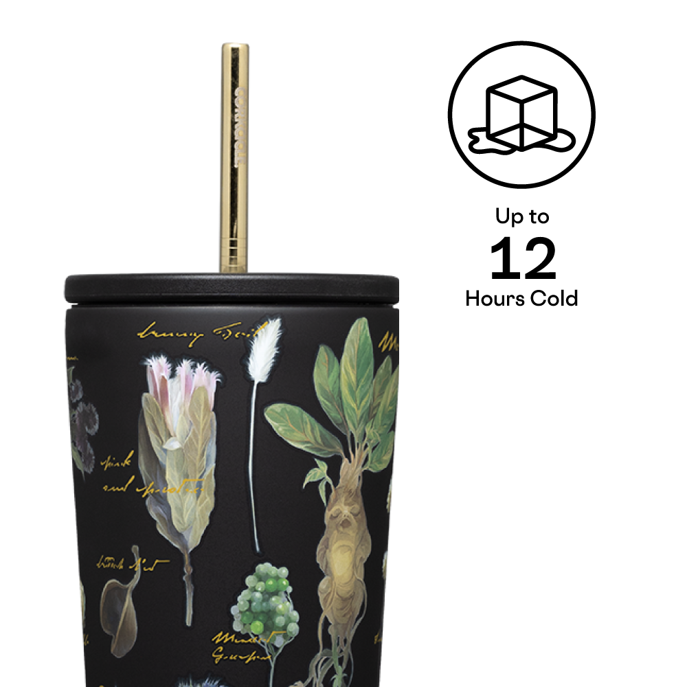 Harry Potter Insulated Tumbler with Lid - 20oz Stainless Steel Cold Cup for Coffee, Tea & Iced Drinks - Perfect for Home, Office & Travel - Official Hogwarts Merchandise