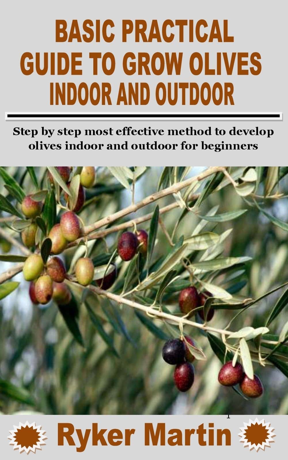 Complete Guide to Growing Olives Indoors & Outdoors - Best Step-by-Step Methods for Beginners | Home Gardening, Urban Farming & Backyard Orchard Tips