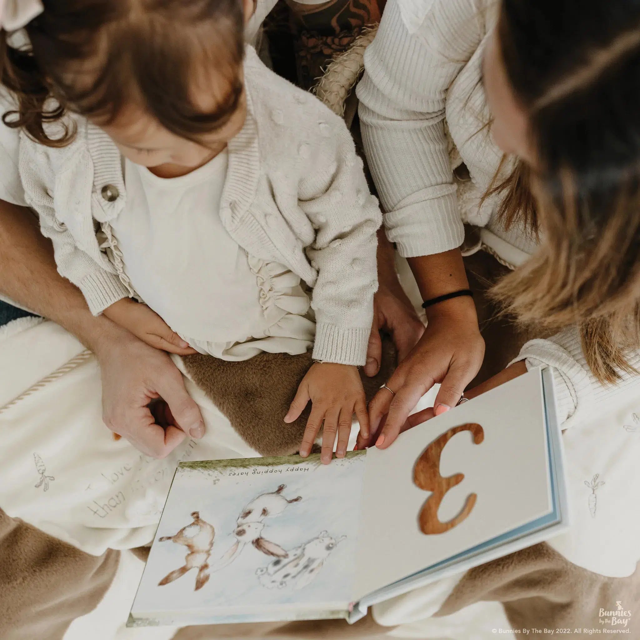 Hares Play A Counting Book - Fun Educational Kids Book for Early Learning & Math Skills | Perfect for Preschool, Kindergarten & Homeschooling
