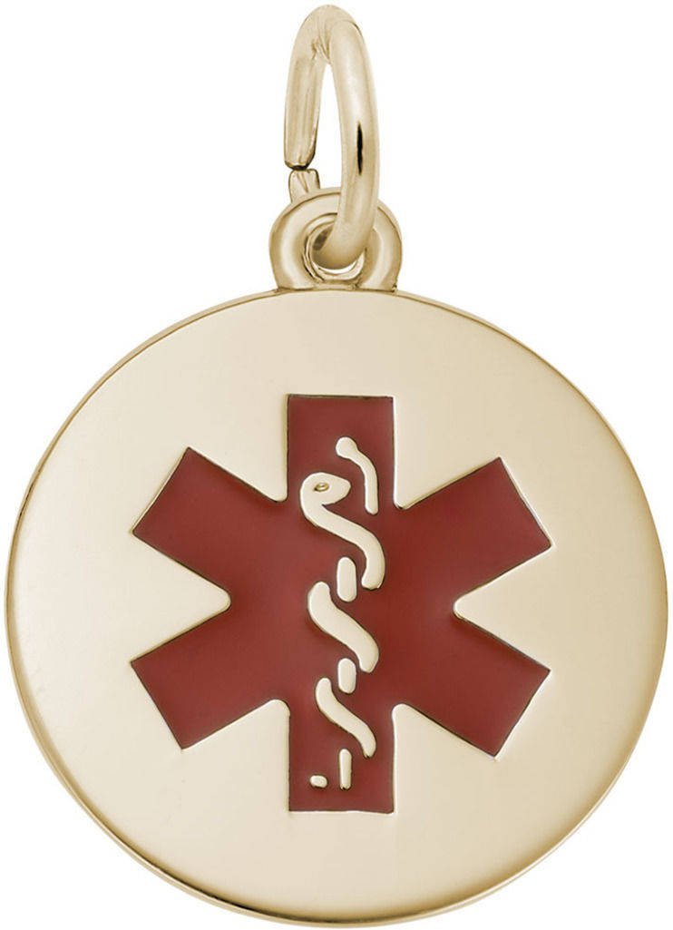Rembrandt Medical Symbol Charm with Red Paint - Choose Your Metal (Sterling Silver/Gold) - Perfect for Nurses, Doctors & Healthcare Professionals Jewelry Gifts