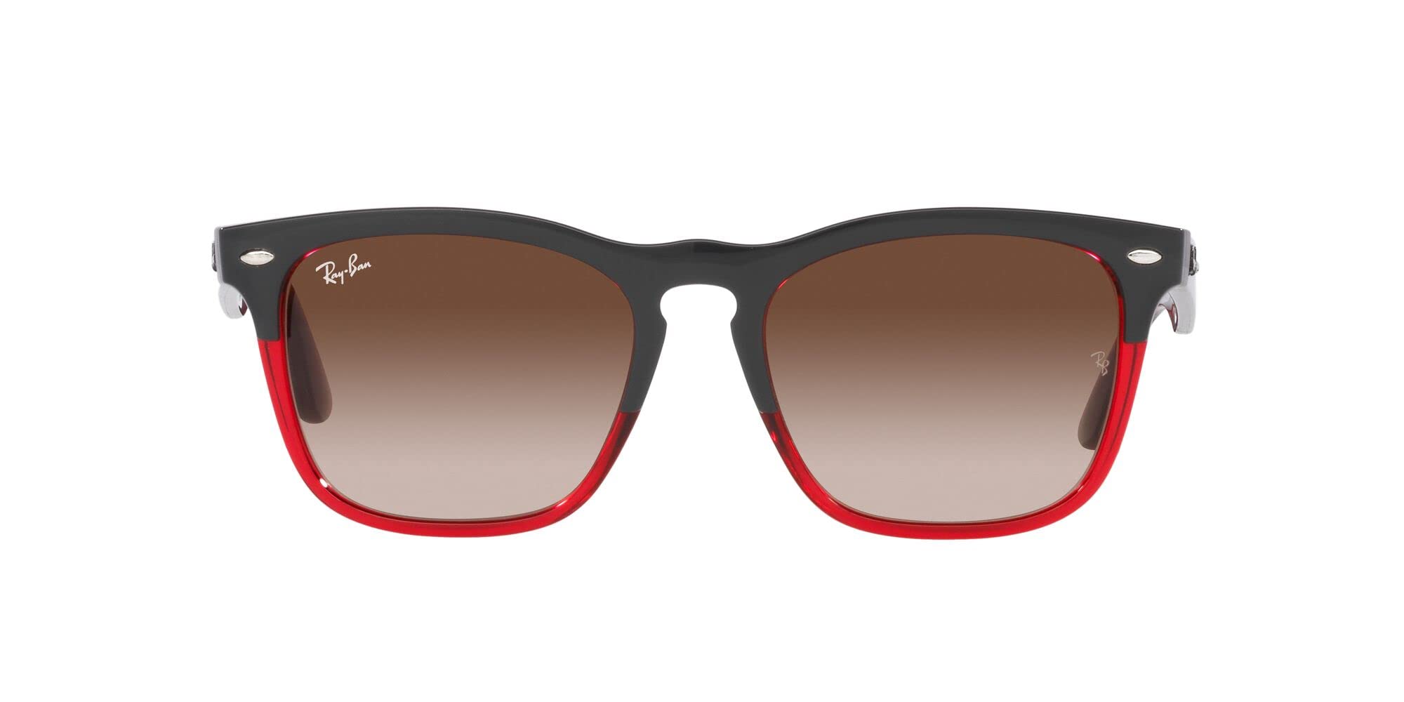 Ray-Ban RB4487 Steve Square Sunglasses for Men & Women - Classic UV Protection Polarized Lenses - Perfect for Driving, Beach, and Outdoor Activities