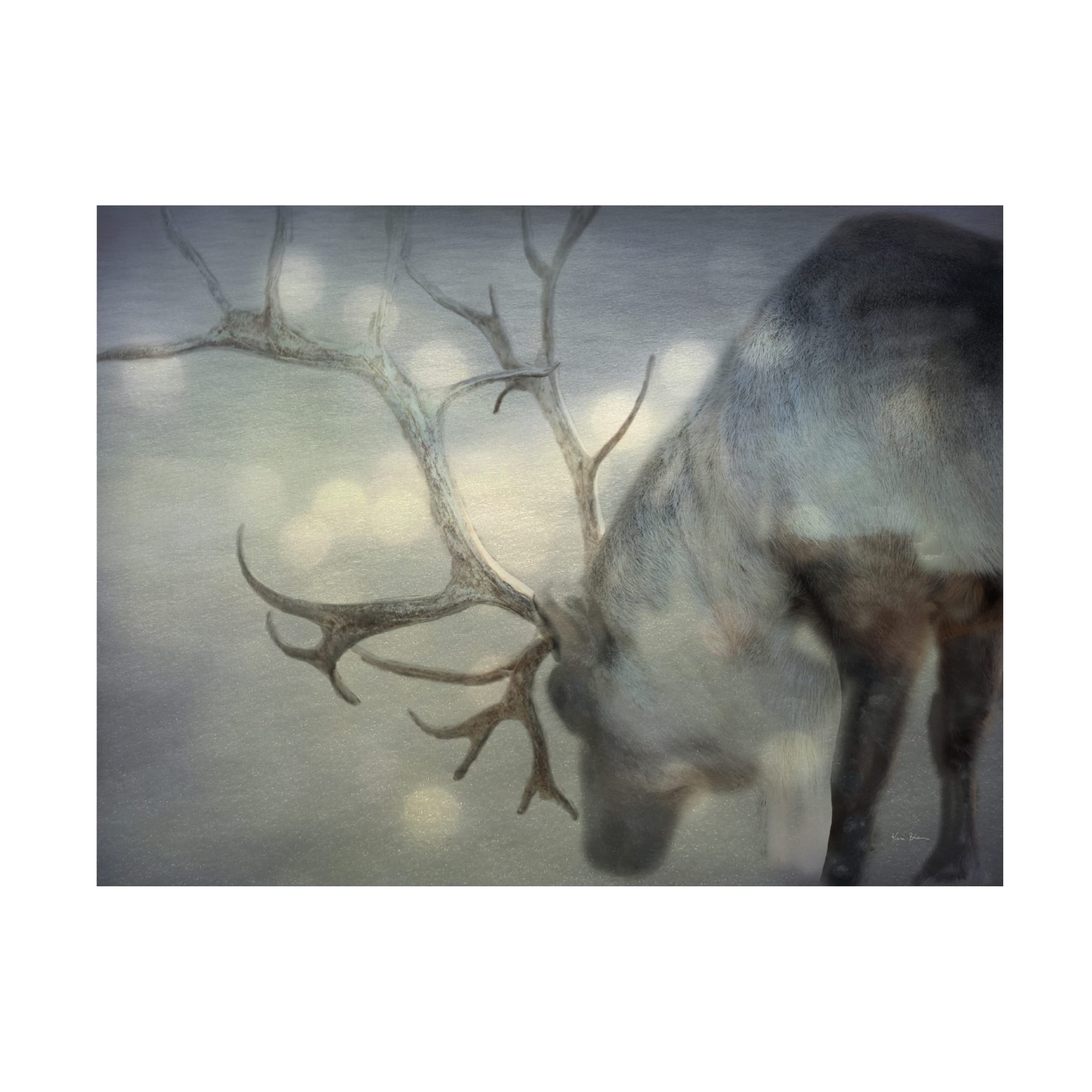 Laura Marshall 'Ranunculus Abstract III Color' Floral Canvas Wall Art Print - Modern Home Decor for Living Room, Bedroom & Office