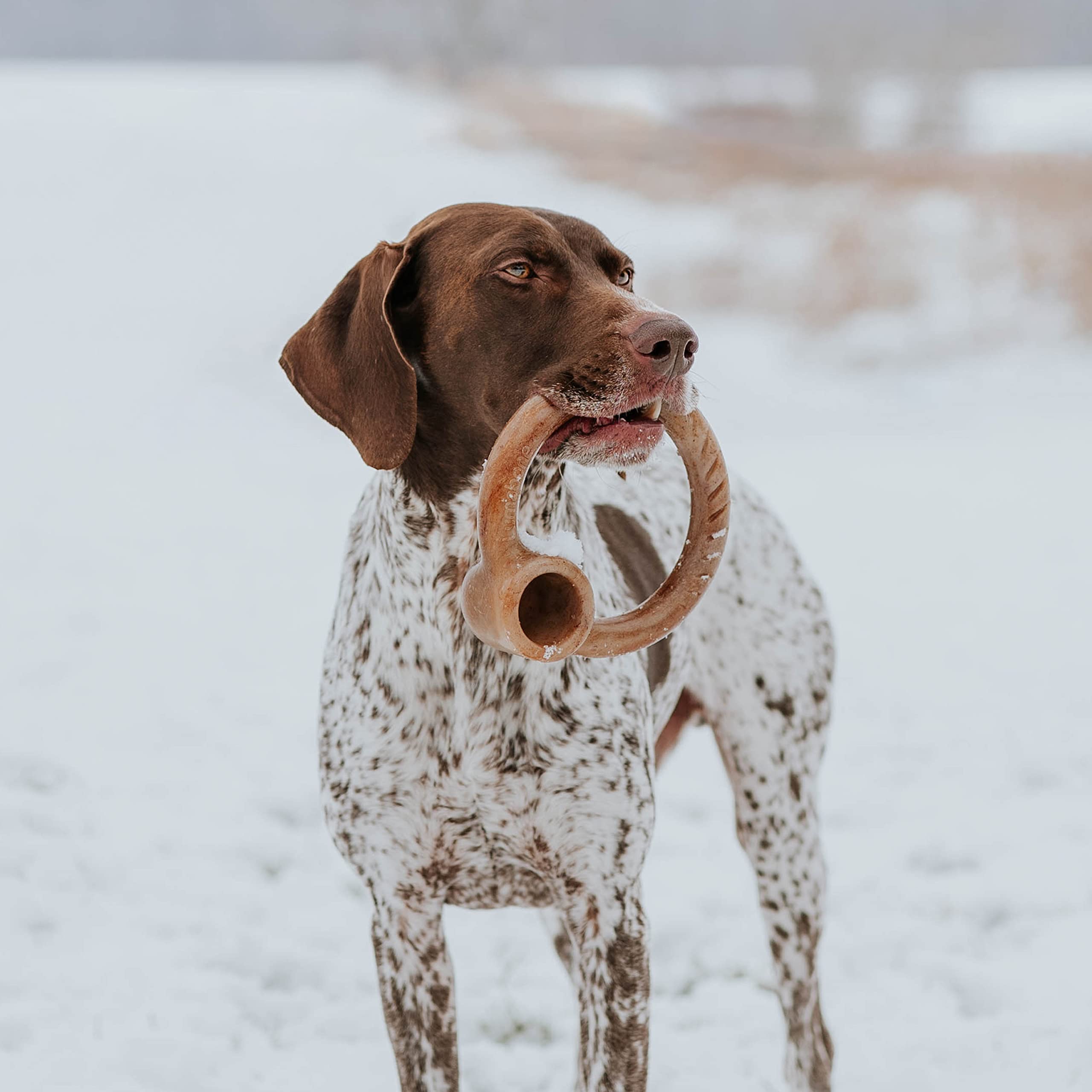 Durable Ring Stuffer Chew Toy for Aggressive Chewers - Real Bacon Flavor Dog Chew Toy - Made in USA - Medium Size - Perfect for Playtime & Training