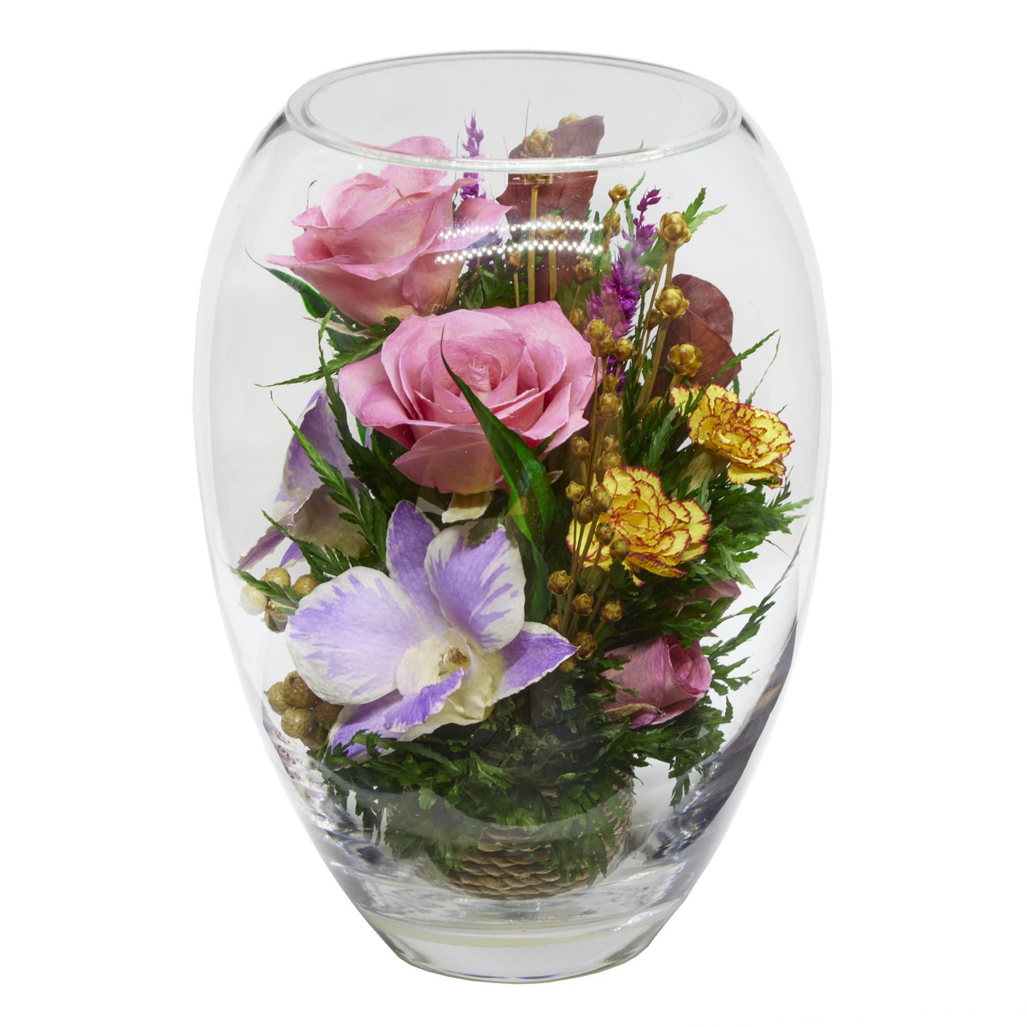 Luxury Preserved Orchid Arrangement in Glass Vase - Long-Lasting Silk Flowers for Anniversary, Wedding, Corporate Gifts - Perfect for Home Decor, Office Centerpiece & Special Occasions
