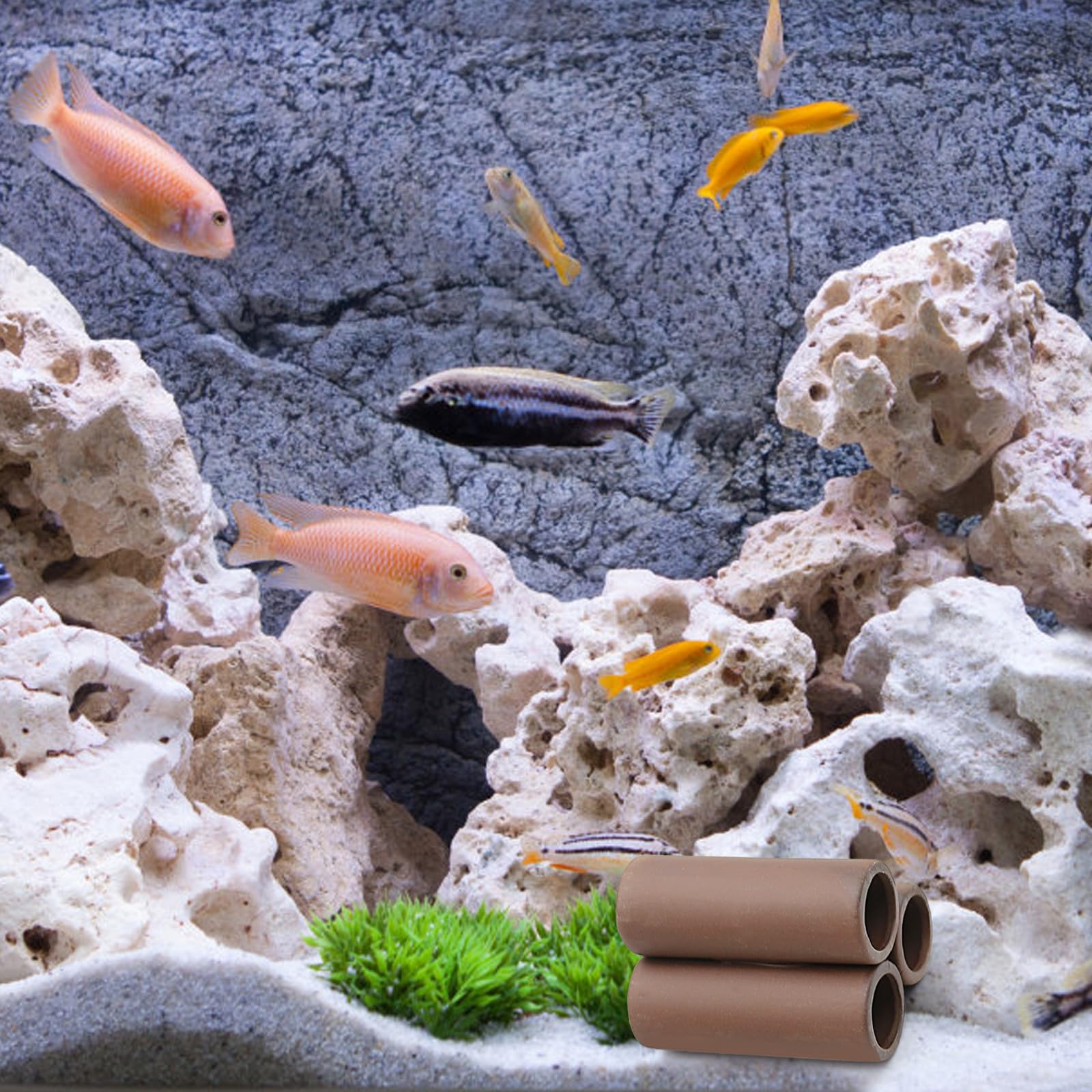 2 Pack Ceramic Fish Tank Decorations - Aquarium Hideout Cave with Swim Holes for Freshwater & Saltwater Fish - Perfect for Betta Fish, Shrimp, and Small Aquatic Pets (Pipe Design) - Ideal for Creating Natural Habitat in Home or Office Aquariums