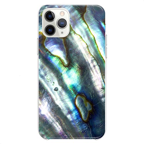 Iridescent Seashell
