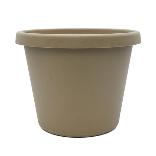 Sandstone