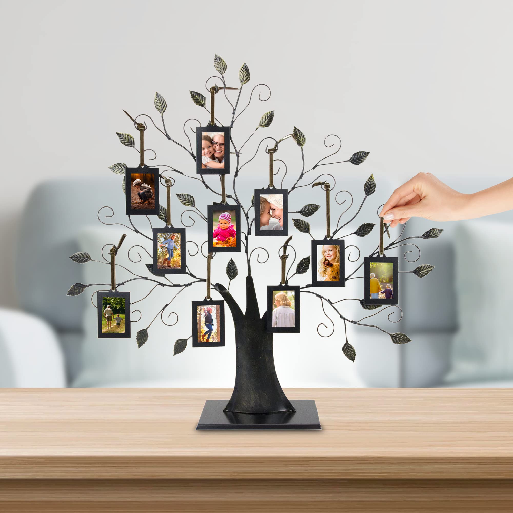 Family Tree Photo Frame - 10 Hanging Frames Wall Decor in Brushed Bronze for Home & Office