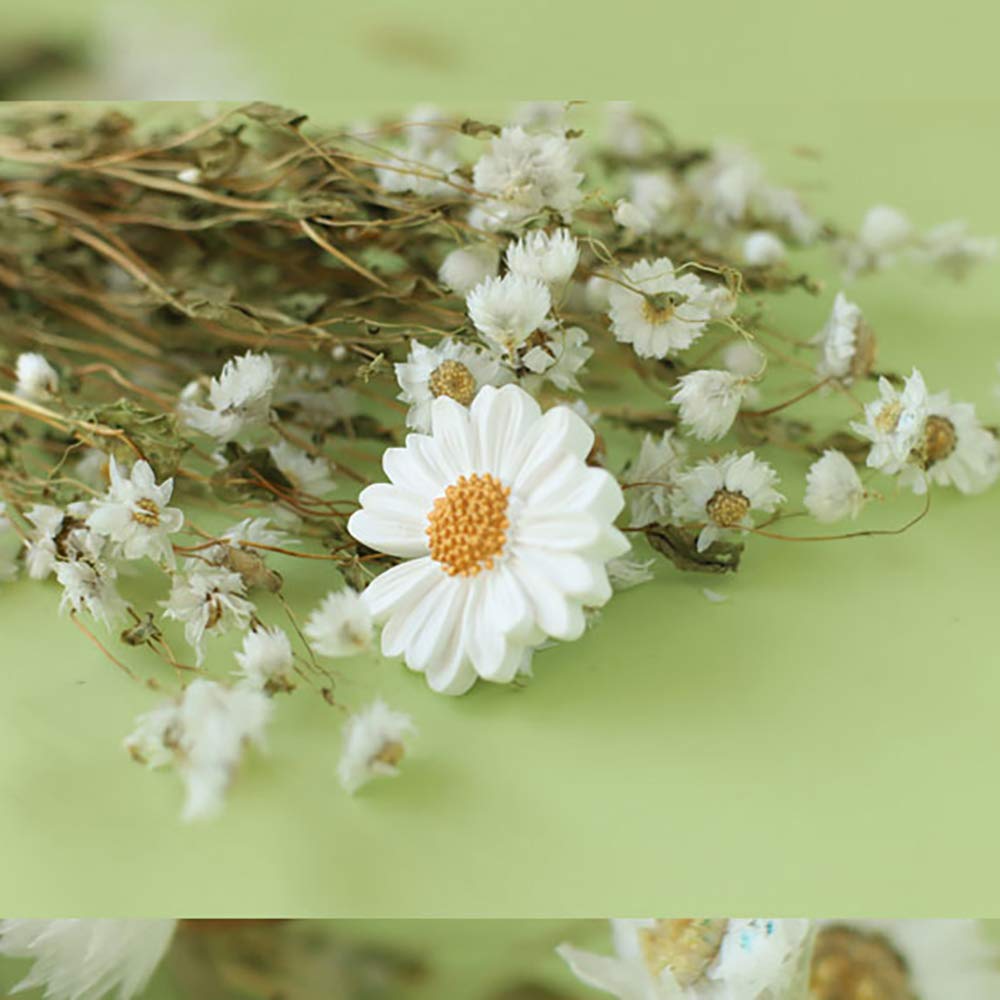 INEBIZ Summer Daisy Ceramic Stone Aroma Diffuser - White Car Air Vent Clip Decor for Horizontal Outlet | Car Interior Freshener & Essential Oil Diffuser for Home, Office & Travel