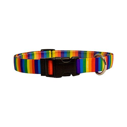Vibrant Rainbow Stripes Dog Collar for Small Dogs - 3/8