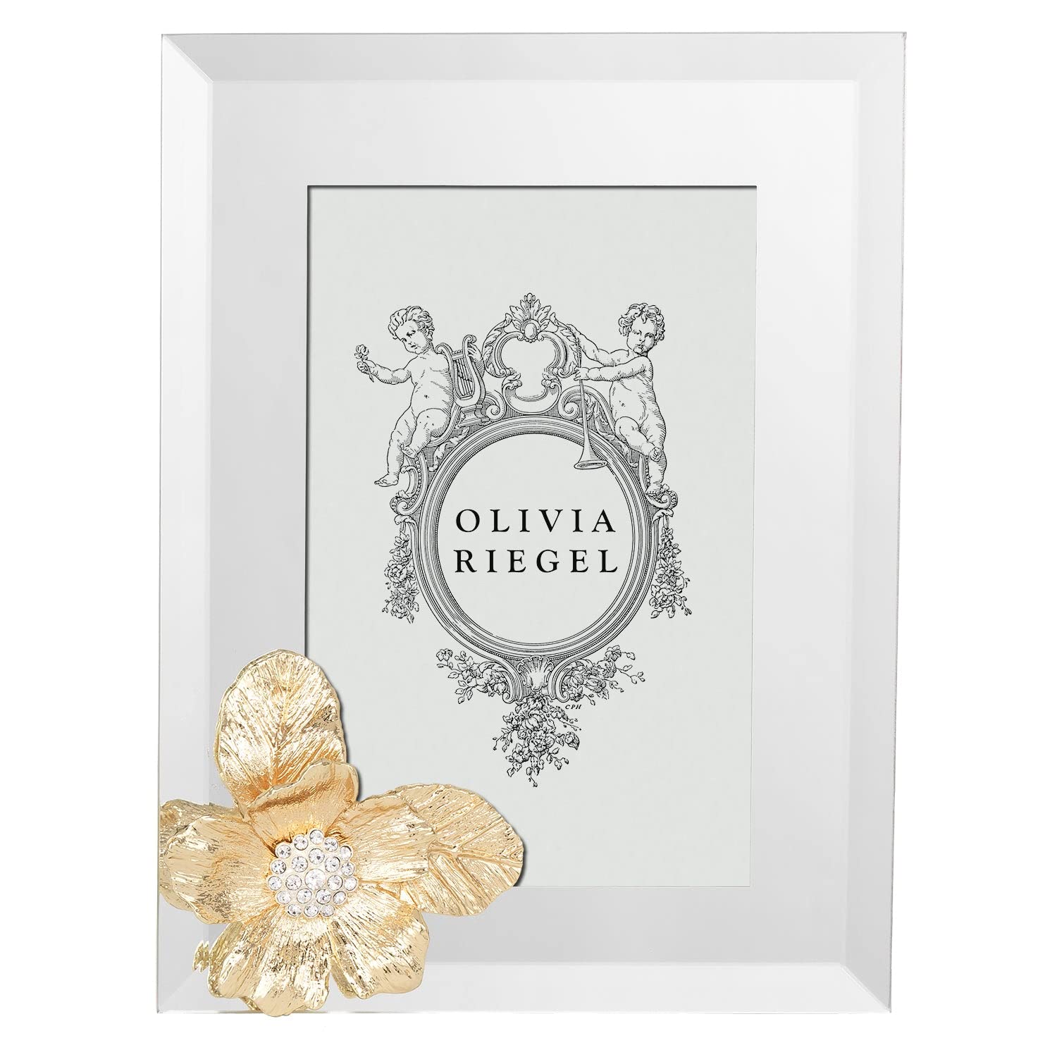 Olivia Riegel Gold Botanica 4x6 Picture Frame - Elegant Floral Design for Home Decor, Office, or Gift Giving