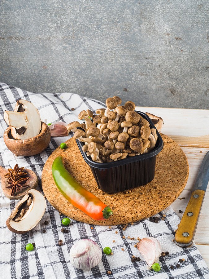 Premium Cork Trivet Placemat Set - Heat Resistant, Eco-Friendly Round Coasters for Hot Pots & Pans - Perfect for Dining Tables, Kitchen Countertops & Outdoor Entertaining