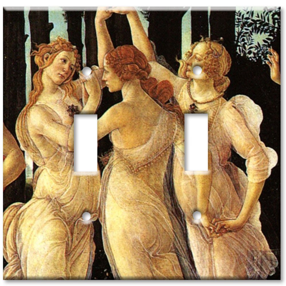 Botticelli Spring Oversized Double Gang Toggle Switch Plate - Decorative Metal Wall Plate for Home Decor - Made in USA - Perfect for Living Rooms, Bedrooms & Offices