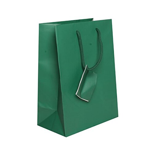 JAM PAPER Green Matte Gift Bags with Rope Handles - Medium Size 8