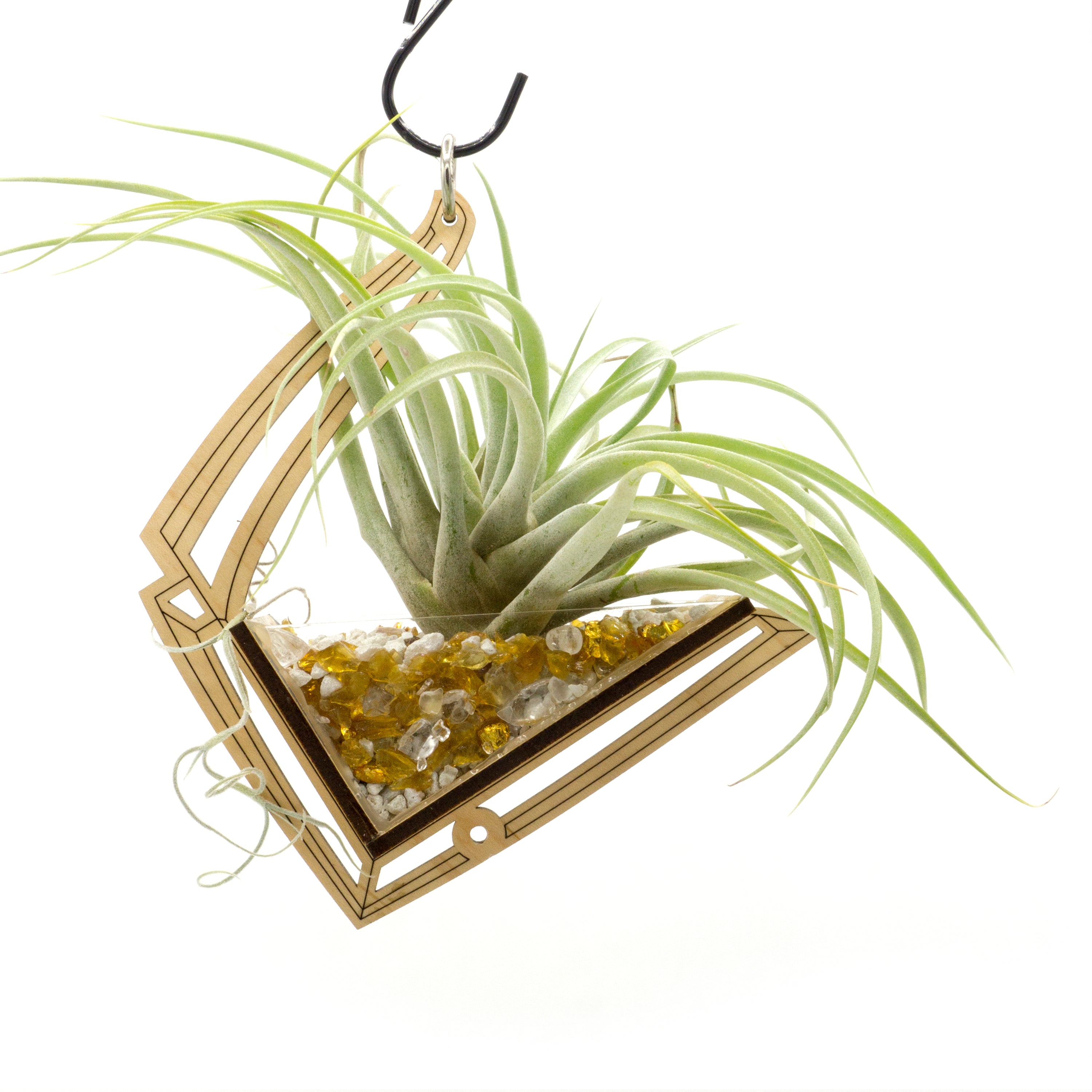 Handmade Free Hanging Air Plant Holder - Modern Boho Home Decor for Living Room, Bedroom & Office | Perfect for Tillandsia, Succulents & Small Plants