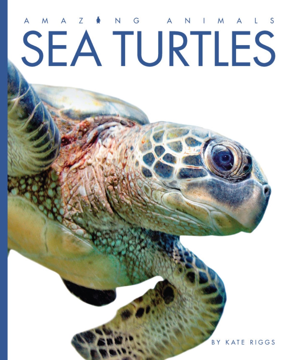 Amazing Animals (2014): Sea Turtles - Educational Marine Life Documentary for Kids & Nature Lovers | Perfect for Classroom Learning & Family Movie Nights