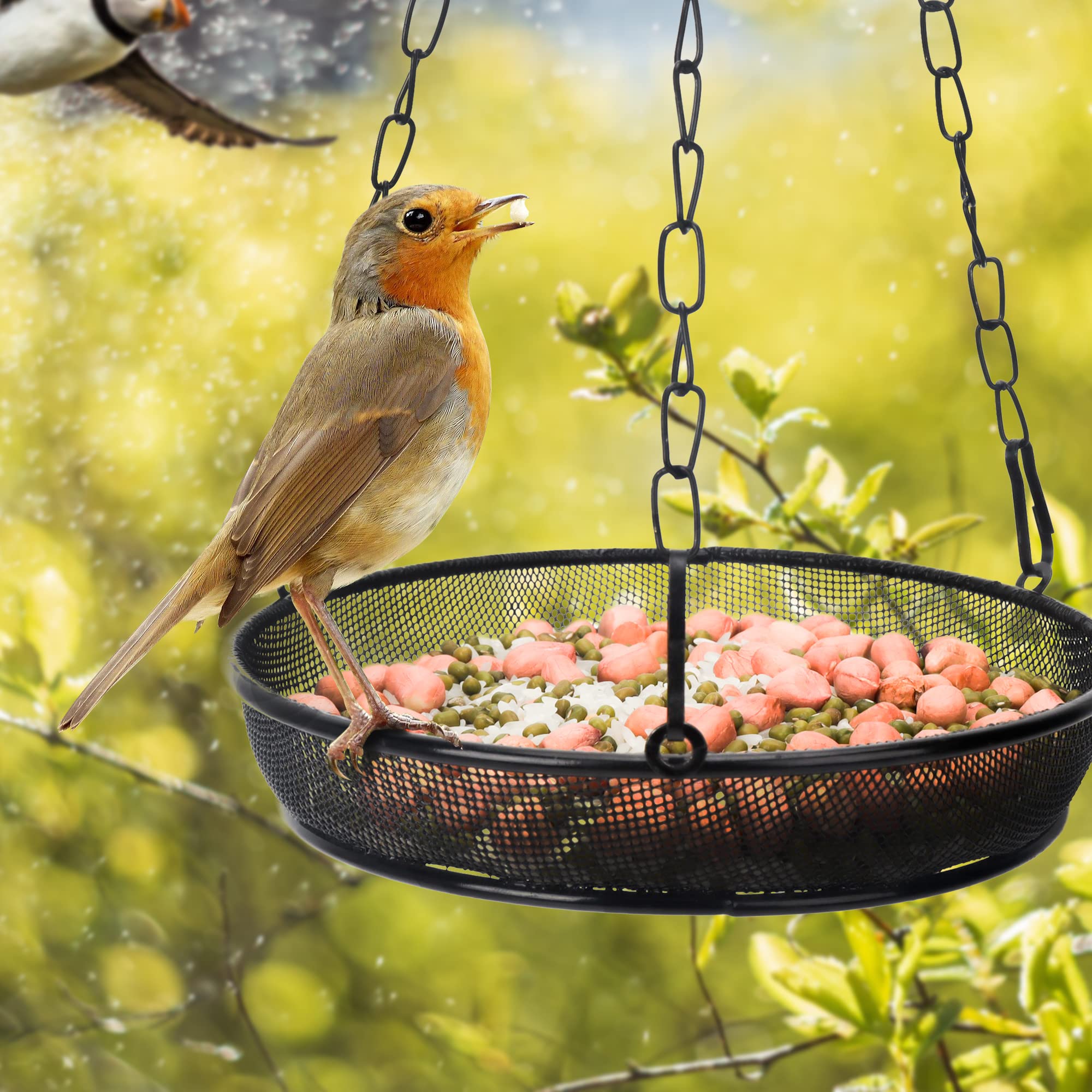 2 Pack Hanging Bird Feeder Tray - Durable Metal Iron Mesh Seed Platform for Outdoor Garden, Attracts Wild Birds (Circular/Black) - Perfect for Backyard, Patio & Bird Watching Enthusiasts