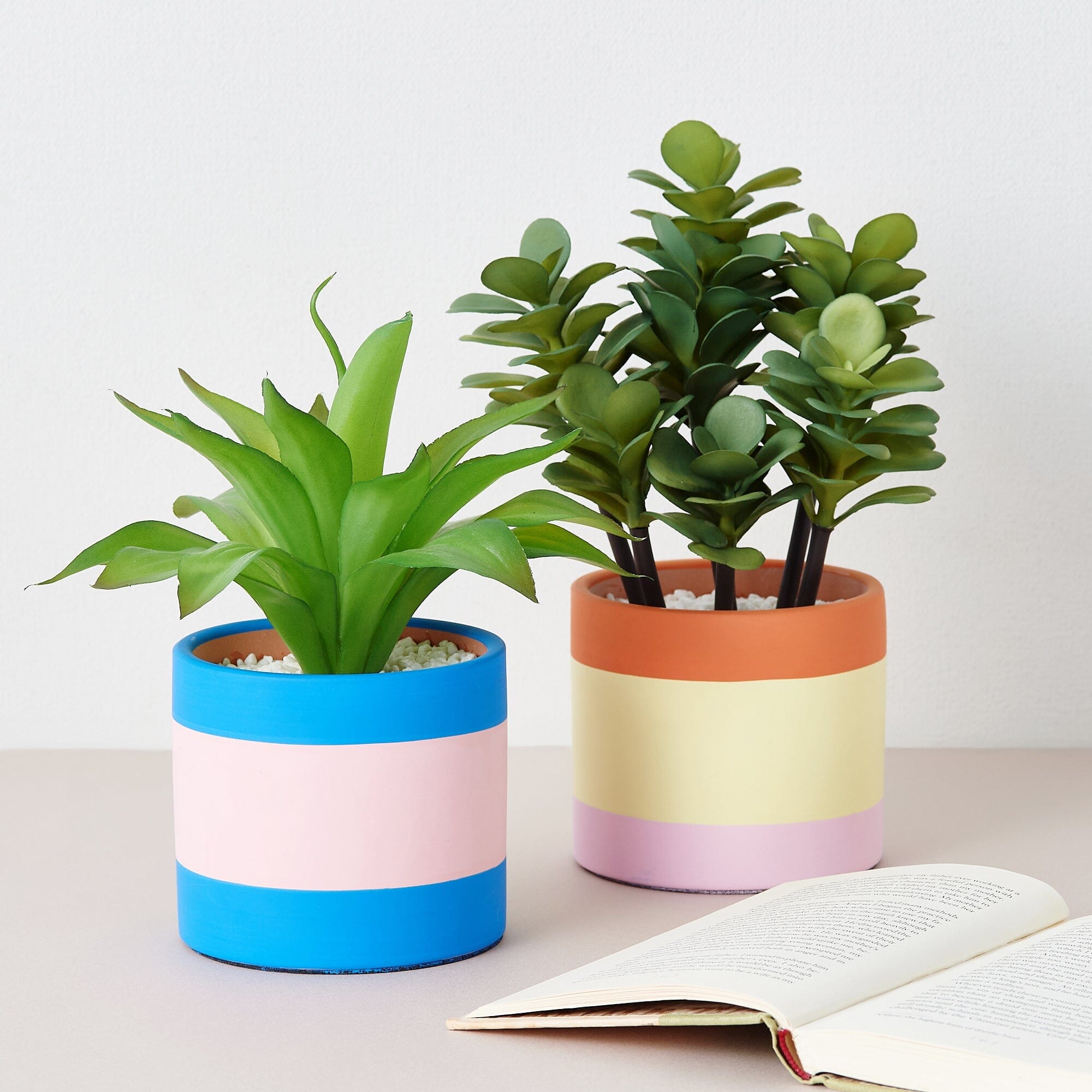 Art Green & Pot Succulents - Beautiful Live Succulent Plants for Home Decor, Office Desk, and Garden - Perfect for Indoor and Outdoor Planting