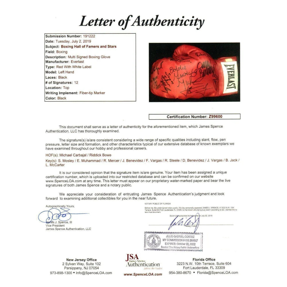 Authentic Boxing Legends Multi-Signed Glove with JSA COA - Shane Mosley, Fernando Vargas, Michael Carbajal, Ray Mercer +7 - Perfect for Sports Memorabilia Collectors, Man Cave Decor, and Boxing Fan Gifts