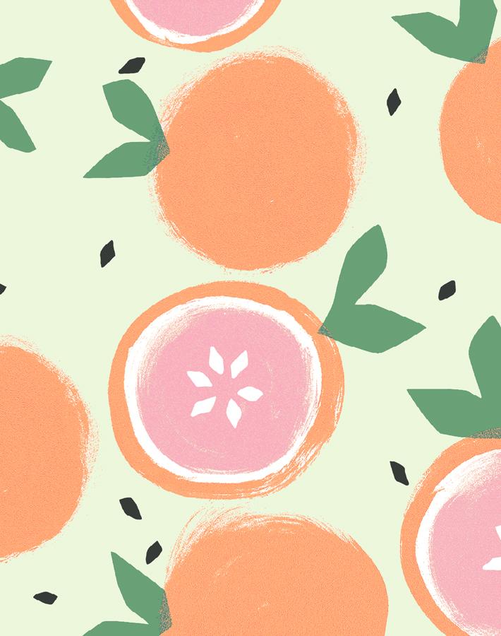 Grapefruit Peel & Pistachio Green Wallpaper - Tea Collection | Modern Botanical Peel & Stick Wallpaper for Bedroom, Nursery & Home Decor