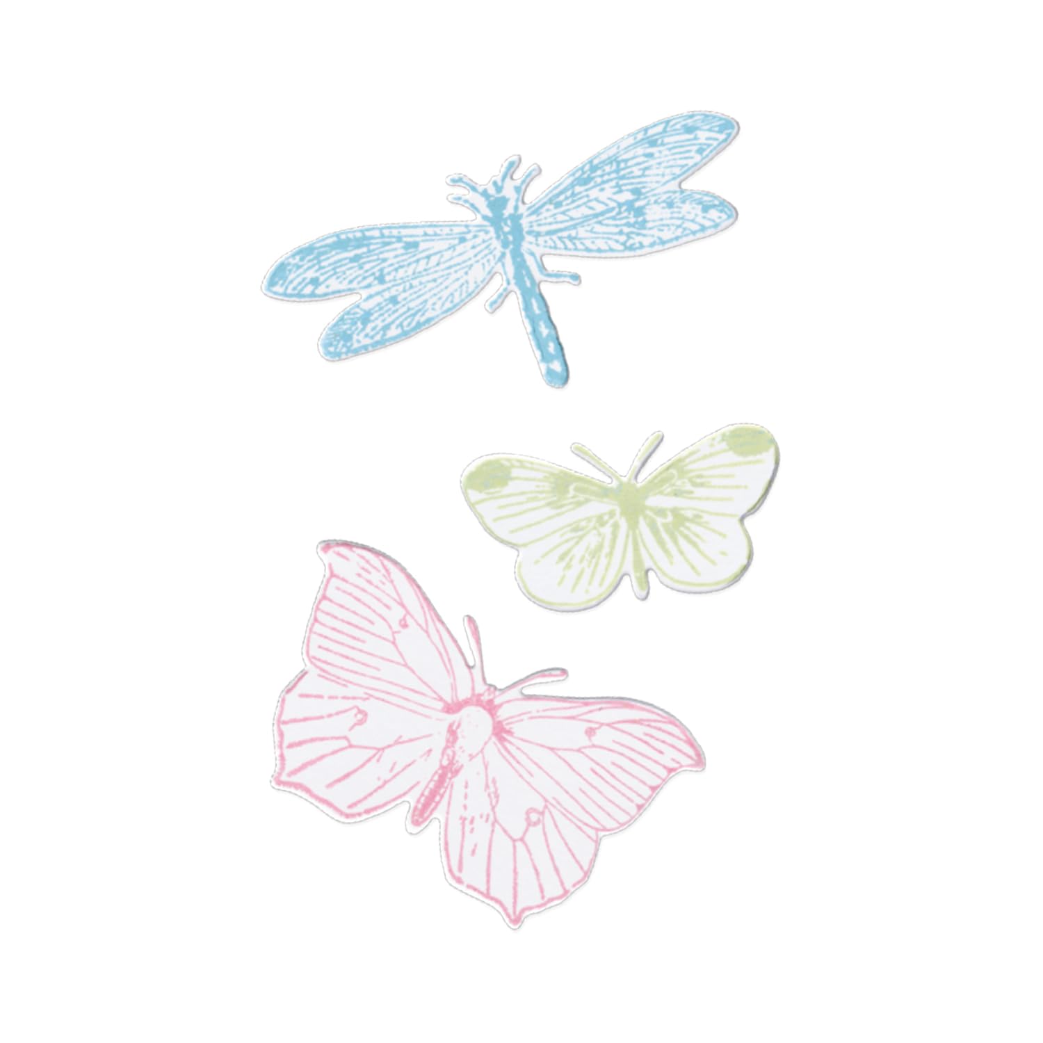 Sizzix Framelits Dies & Stamps - Engraved Wings by 49 and Market | Scrapbooking & Cardmaking Craft Supplies | Perfect for DIY Greeting Cards, Home Decor, and Memory Albums