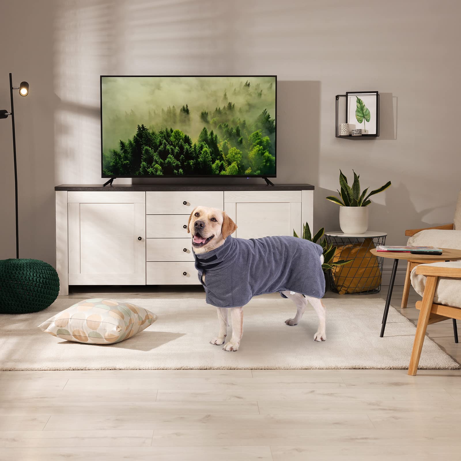 Bemodst Super Absorbent Microfiber Dog Drying Coat - Fast Drying Pet Bathrobe Towel for Dogs & Cats - Luxuriously Soft Moisture Wicking Bath Robe | Perfect for Post-Bath Drying, Grooming, and Keeping Pets Warm After Swimming