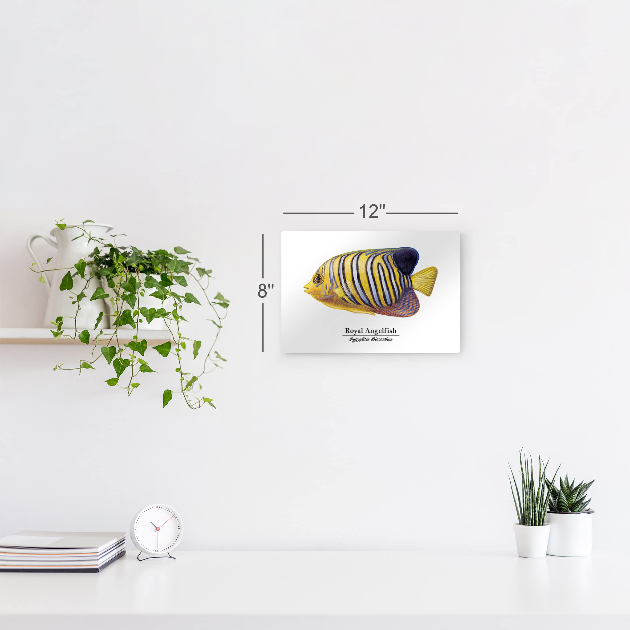 Royal Angelfish Metal Wall Art - 16x24 Inch Marine Animal Painting, Pygoplites Diacanthus Fish Print for Coastal & Nautical Decor - Perfect for Living Room, Bedroom, Kids Room & Office - Handmade in USA | Ocean-Themed Home & Fishing Gift Idea