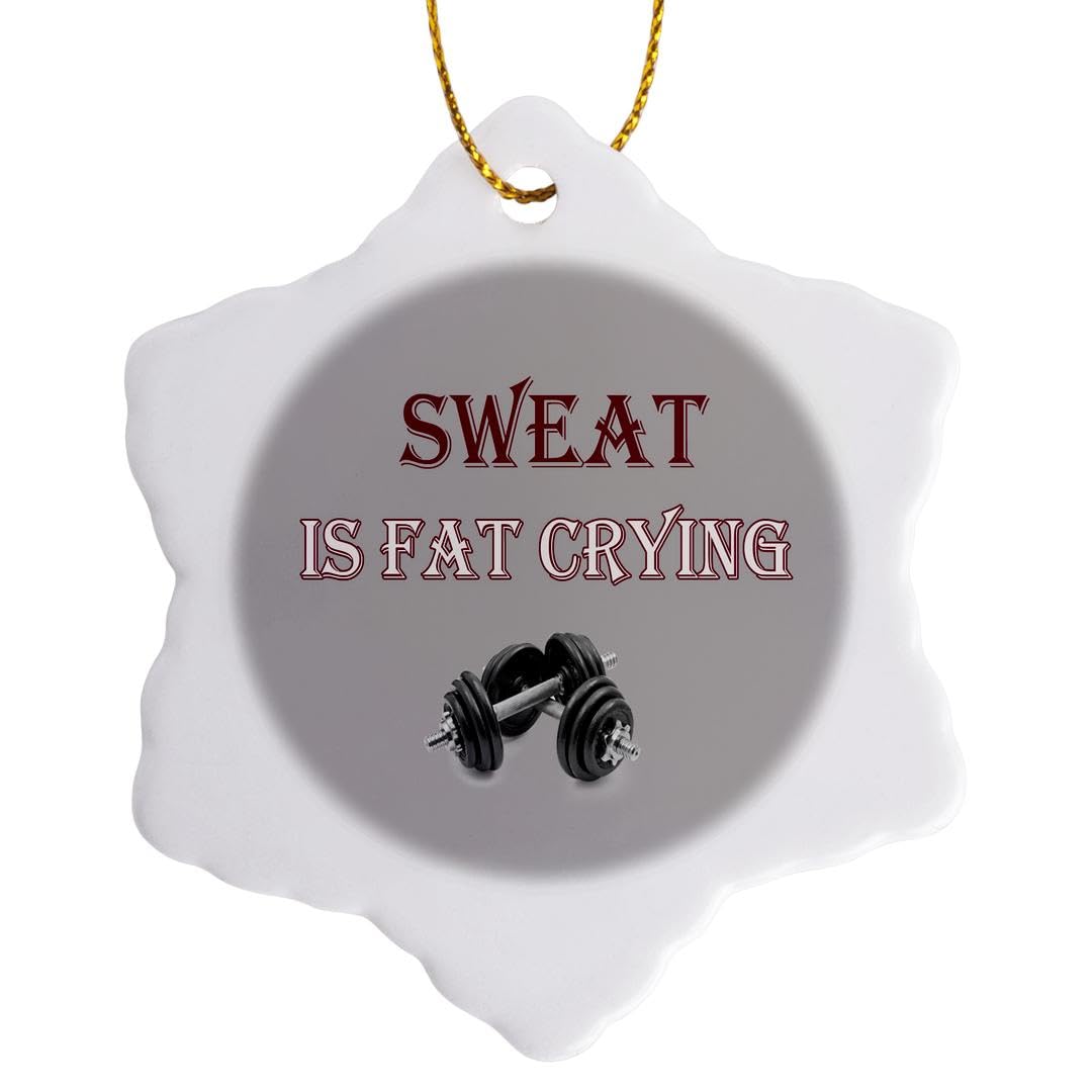 3dRose Funny Gym Quote Ornament - 