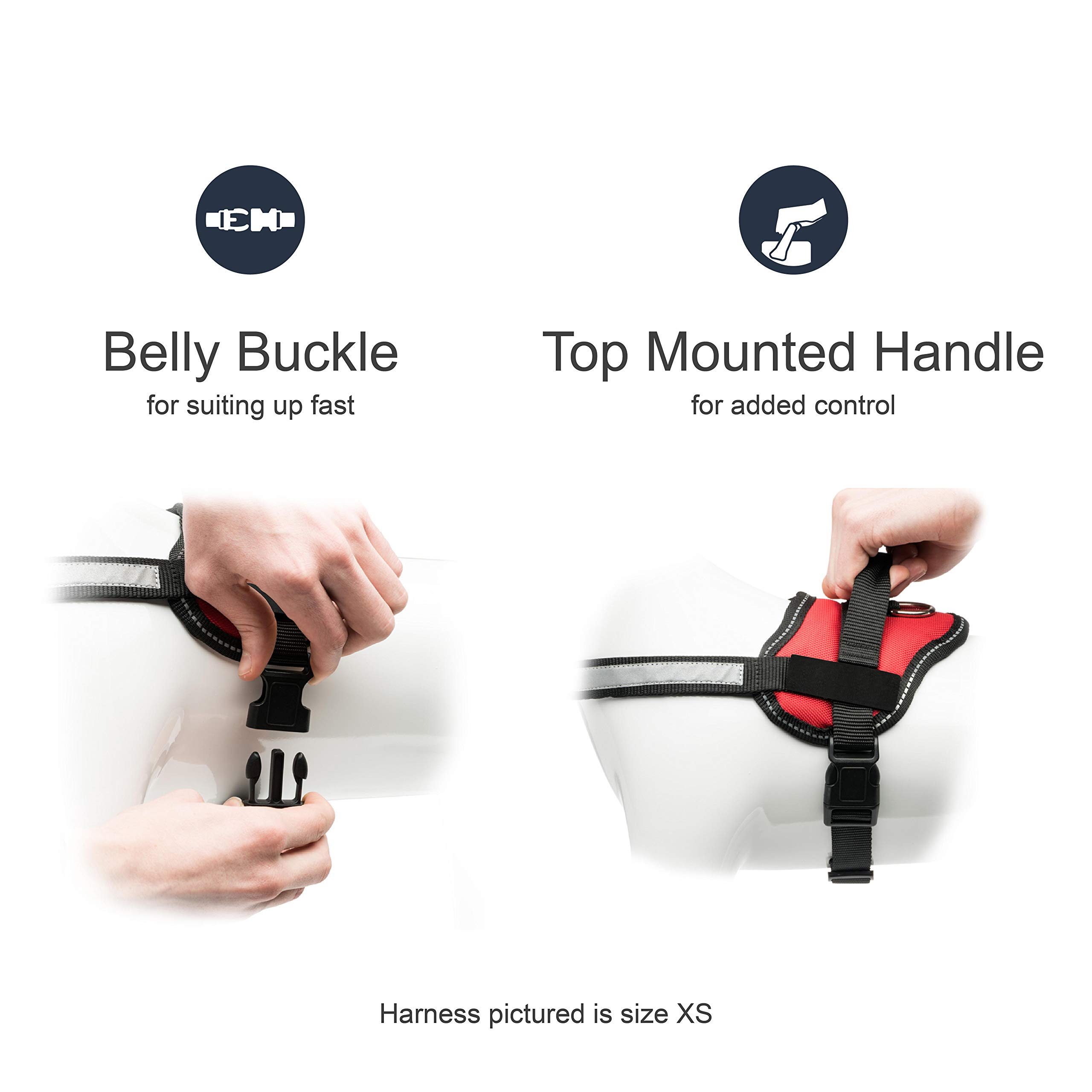 No Pull Dog Harness for Small & Large Dogs - Adjustable Reflective Pet Harness with Hook (XS, 16.5-21.5