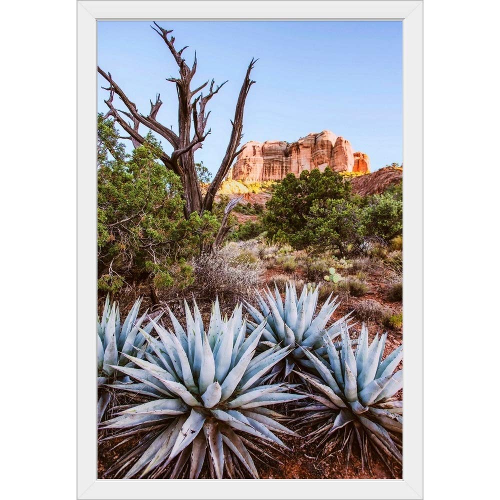 Agave Plants Sedona Arizona White Framed Art Print - Desert Landscape Wall Decor for Home & Office - Perfect for Southwestern Style Interior Design