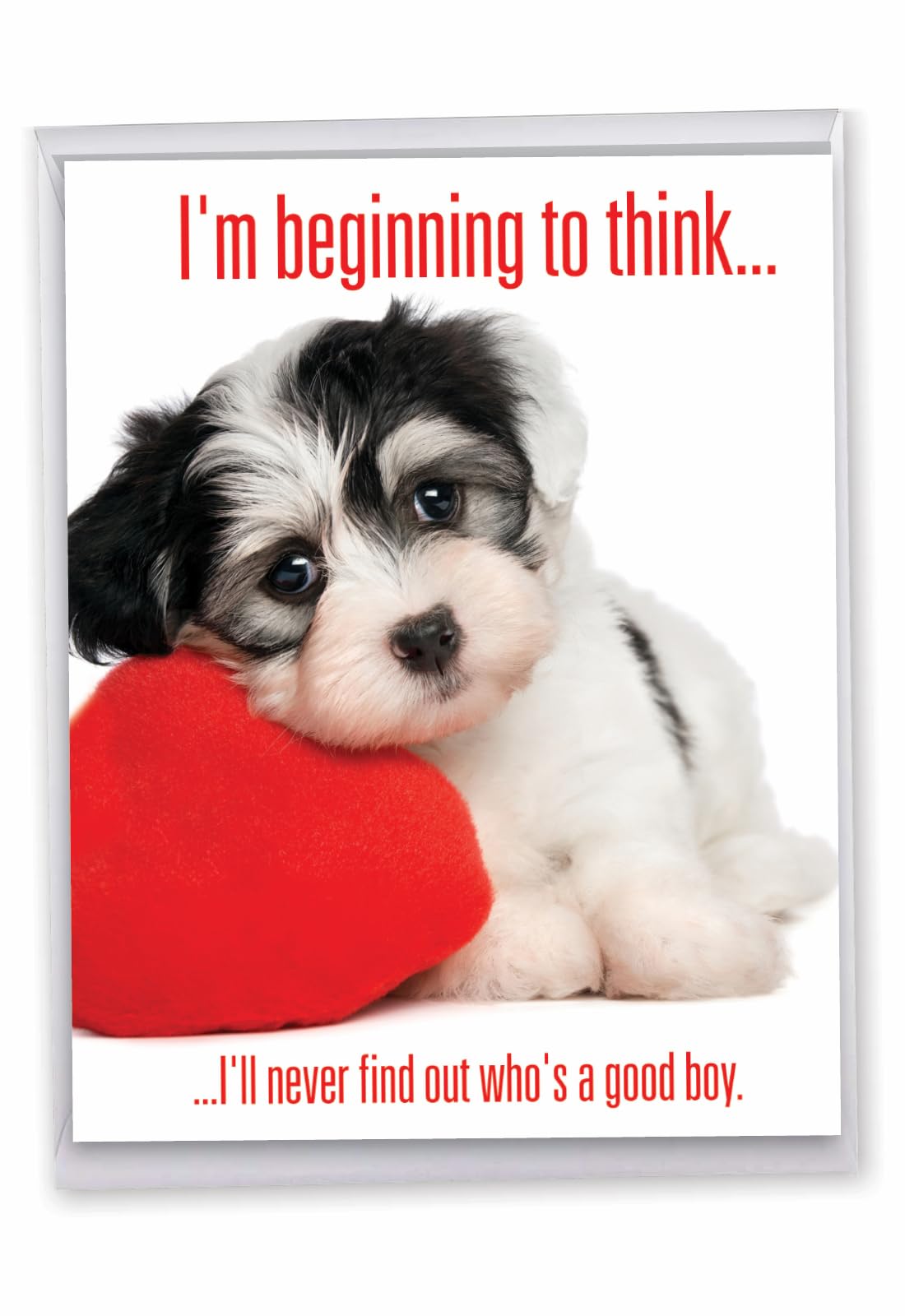 Funny Jumbo Birthday Greeting Card - 8.5 x 11 Inch Large Cute Animal Humor Card for Birthdays - Good Boy J2577BDG - Perfect for Office Gifts, Party Decorations & Surprise Celebrations
