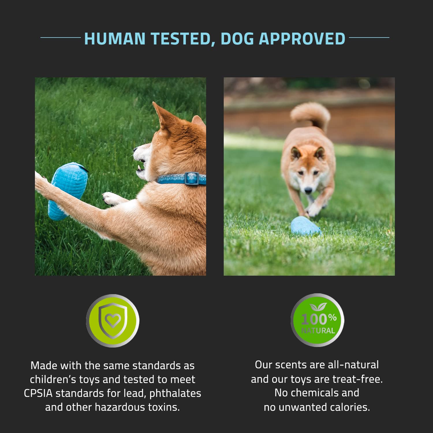 Playology Plush Crinkle Dog Toy - Medium Crinkle Egg with Peanut Butter Scent - All-Natural, Interactive & Non-Toxic Chew Toy for Dogs - Perfect for Playtime, Training & Mental Stimulation