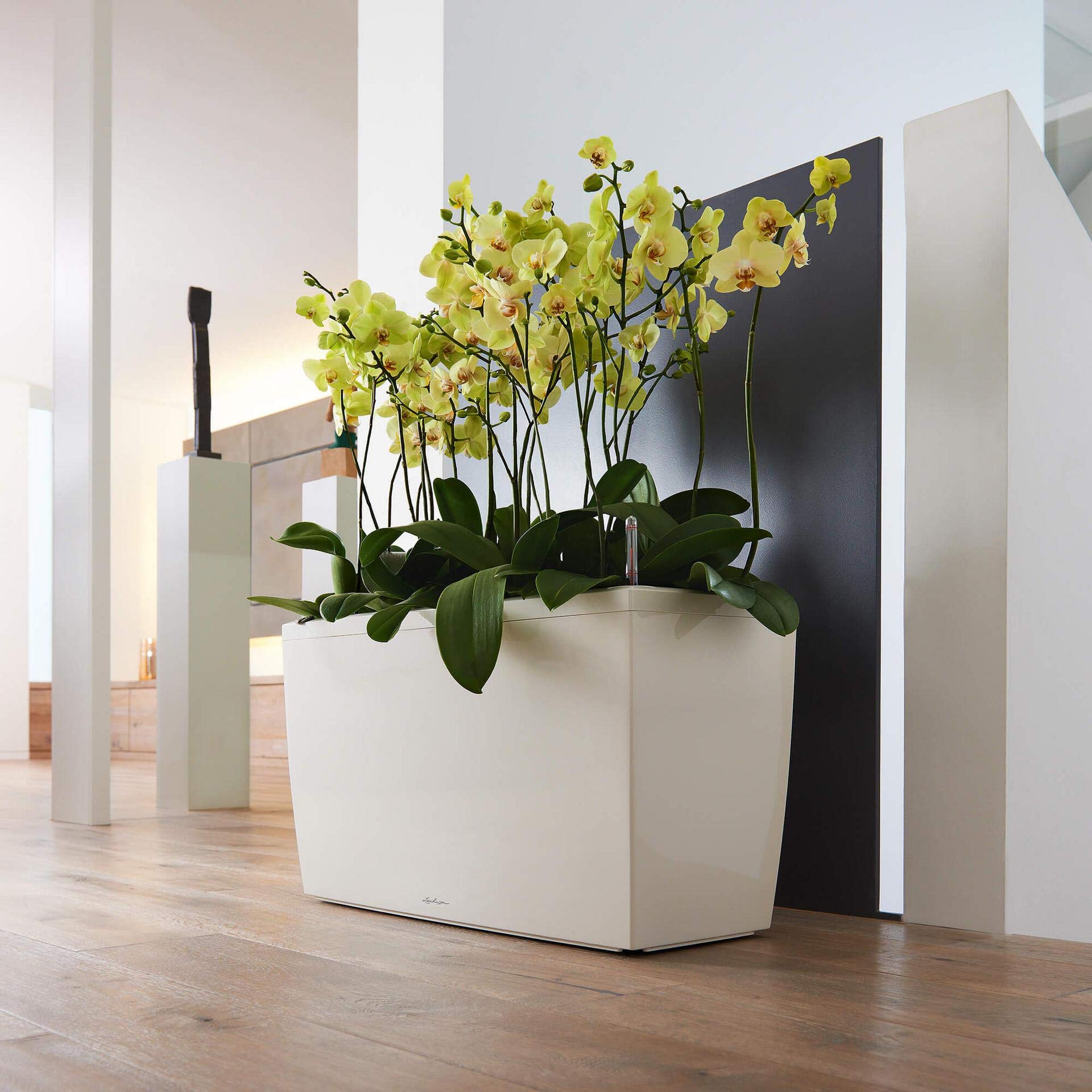 Lechuza CARARO Premium Black High Gloss Self-Watering Planter 18809 - Perfect for Indoor Plants, Home Decor & Office Spaces