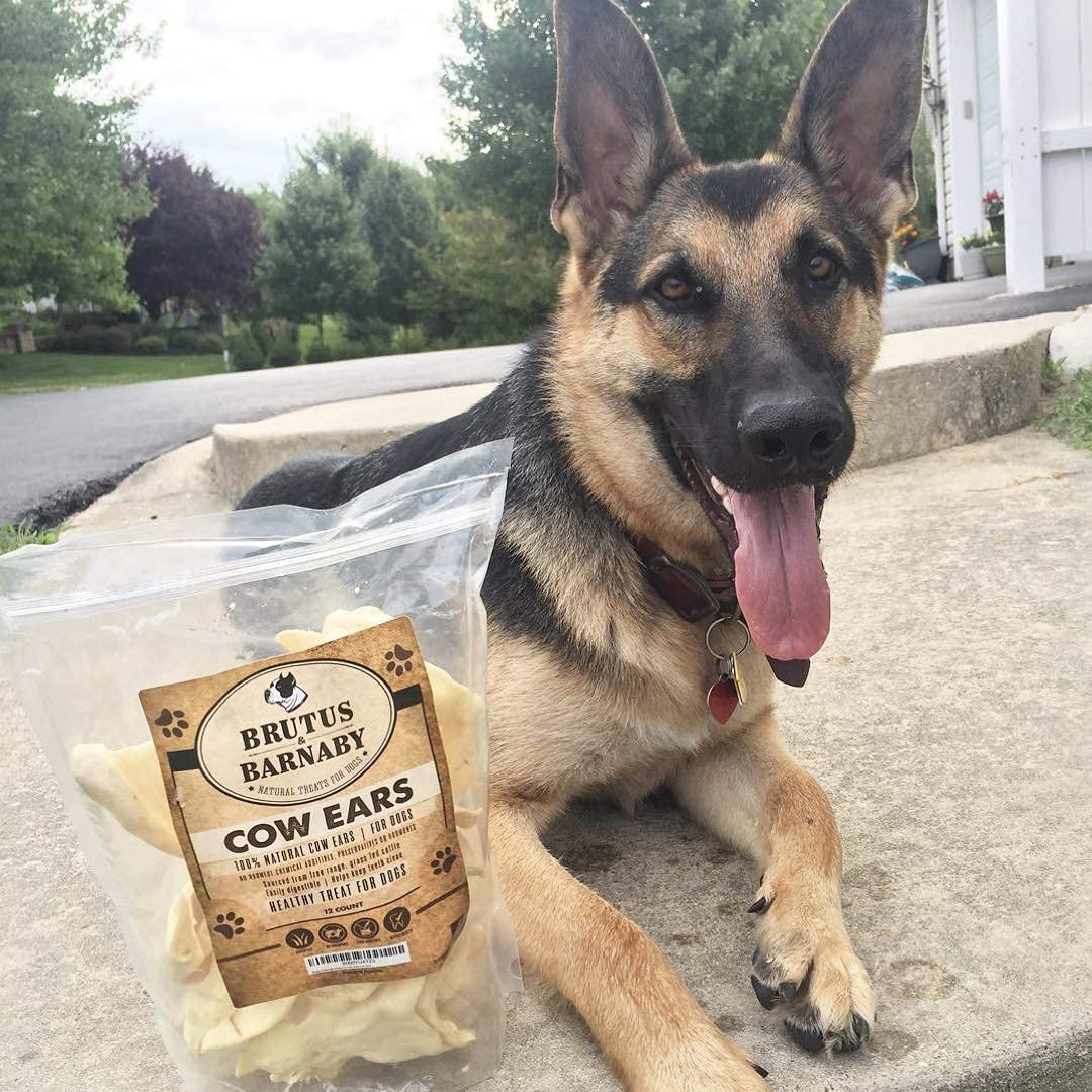 All Natural BRUTUS & BARNABY 12 Cow Ears + 15 Gullet Dog Treats - Healthy Chews for Small & Large Breeds - Perfect for Training, Dental Health & Long-Lasting Entertainment
