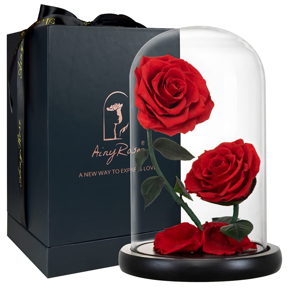 Forever Preserved Real Red Rose in Glass Dome - Unique Mother's Day & Birthday Gift for Women, Mom, Grandma | Romantic Keepsake for Her, Home Decor, Wedding Anniversary Present